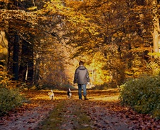 Walking 
