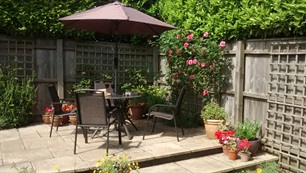 Belview Cottage Dorset garden